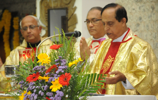 Mount Carmel Feast at Infant Jesus Church